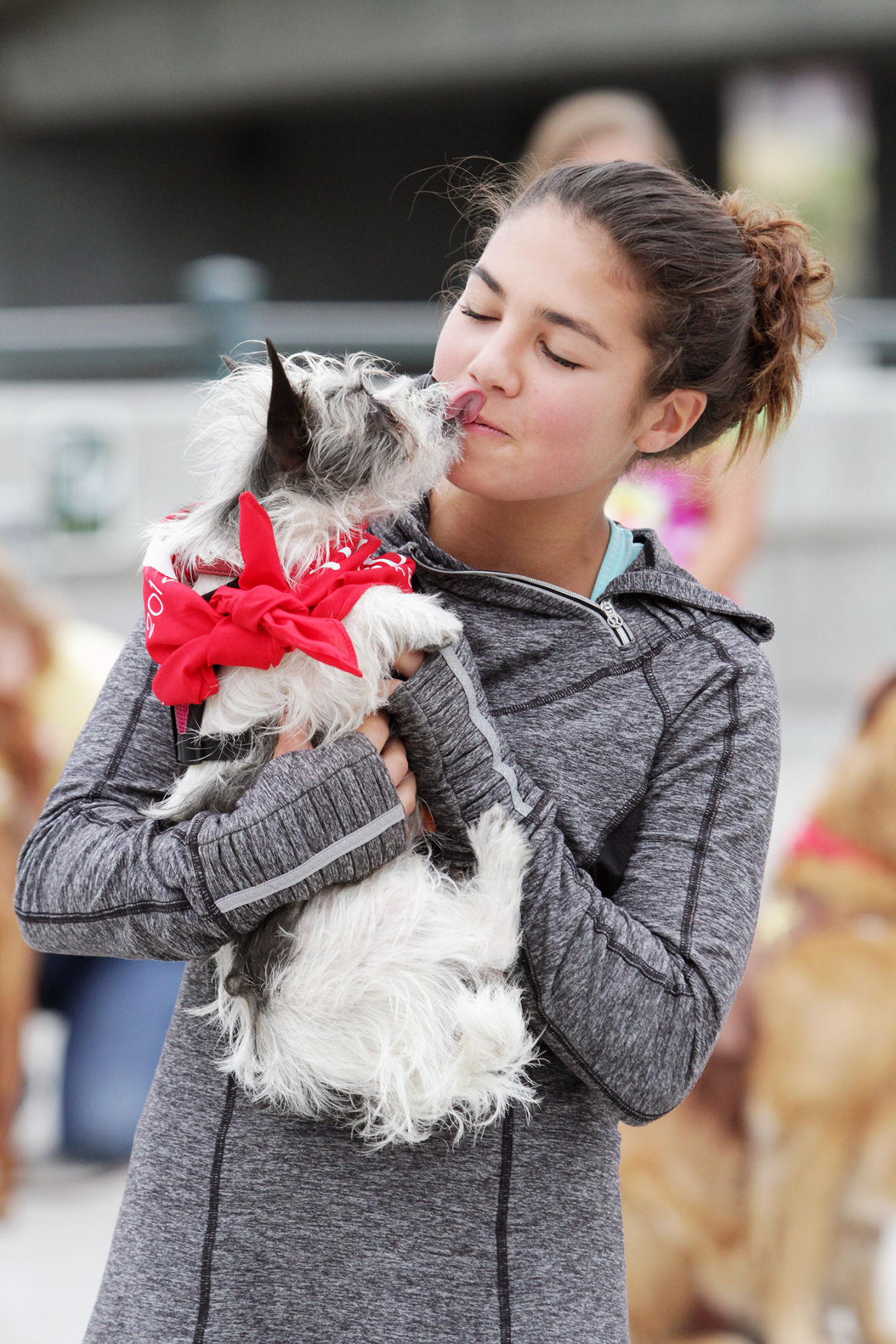 Walk for Animals 2014